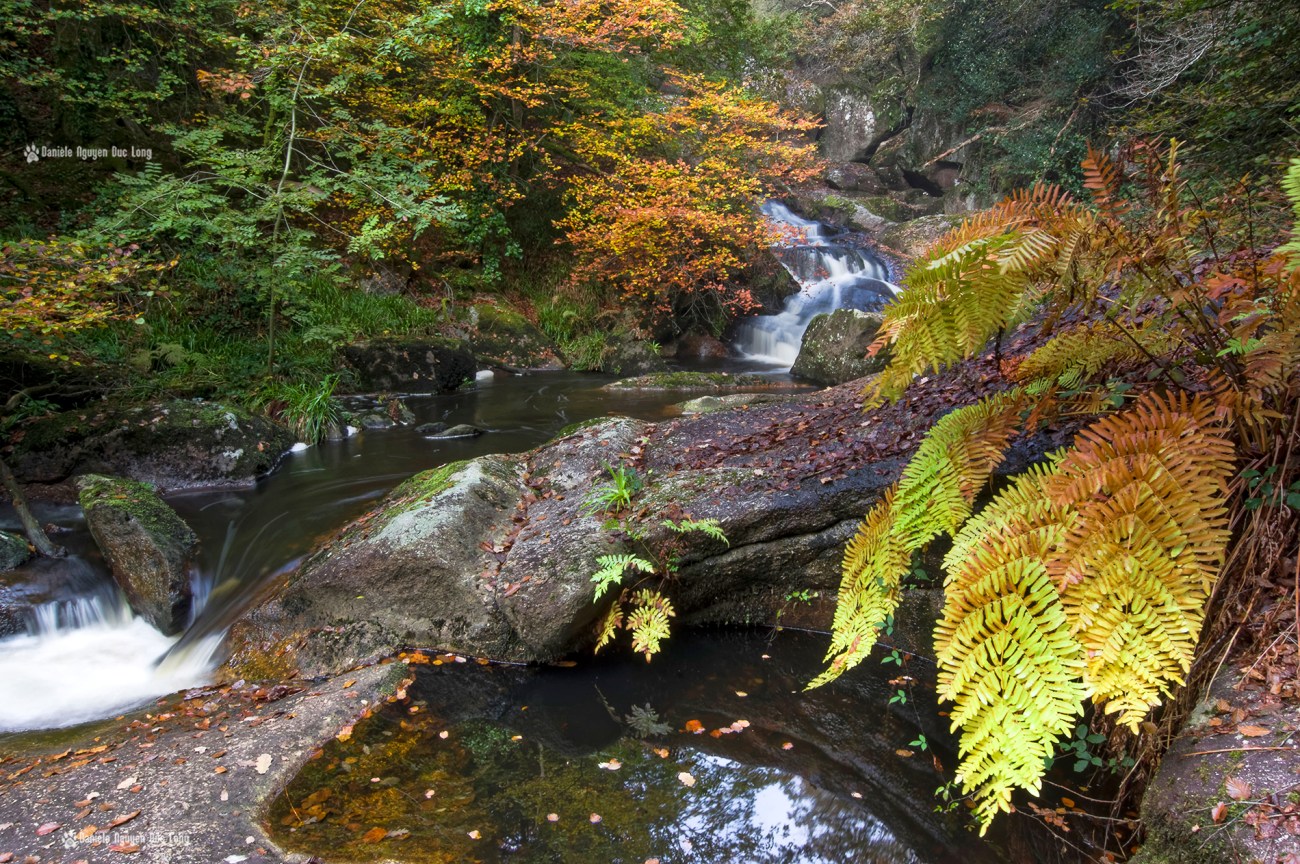 cascade-st-herbot-autre-versant-et-fougere-copie