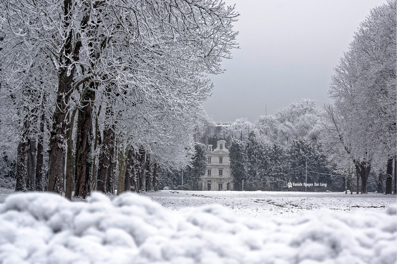 neige-du-nouvel-an-allee-maronniers-et-chateau-copie