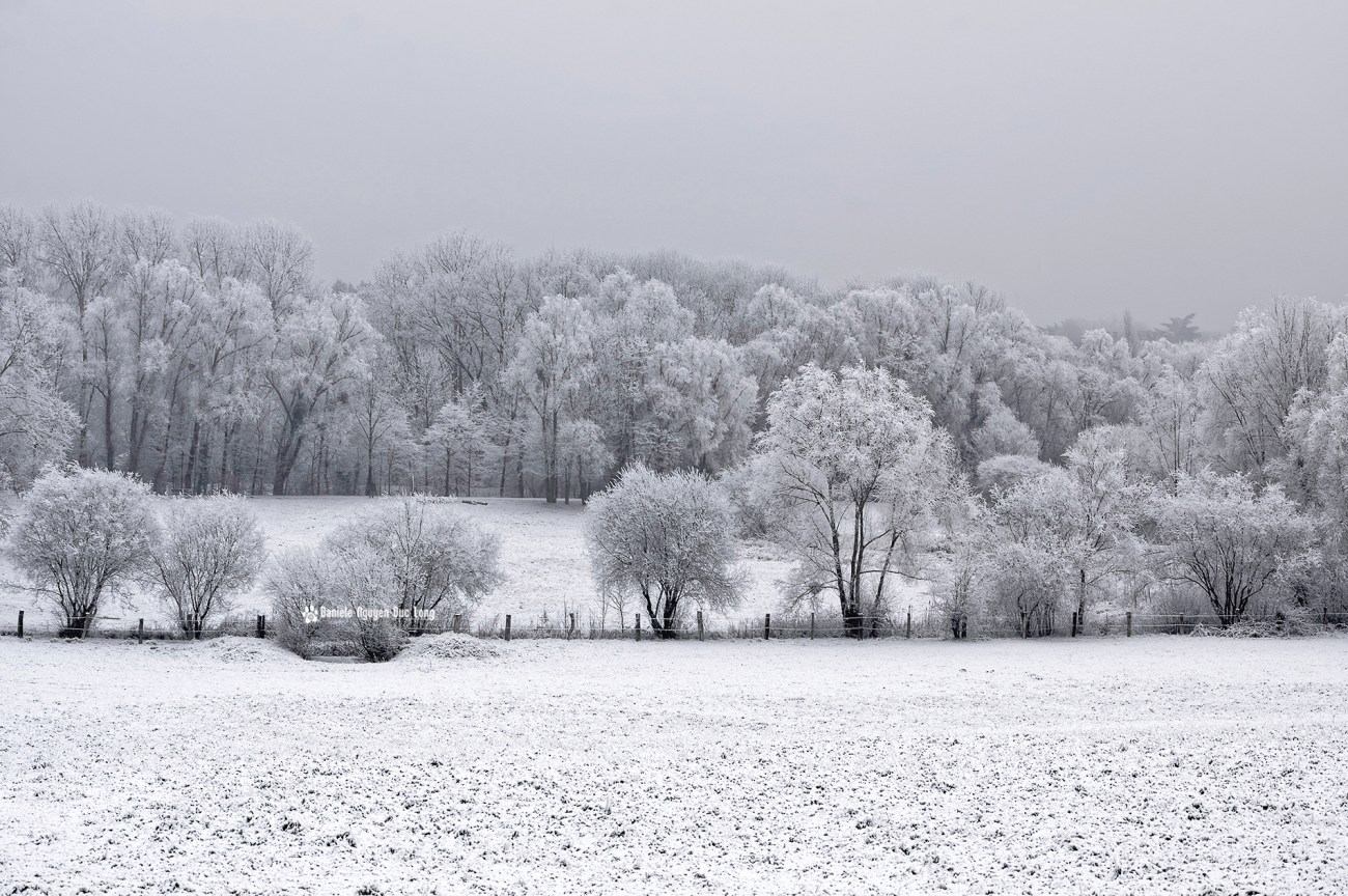 neige-du-nouvel-an-vue-vallee-de-lorge-01bis-copie