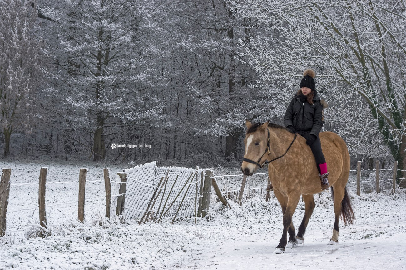 neige-du-nouvel-ancavaliere-01-copie