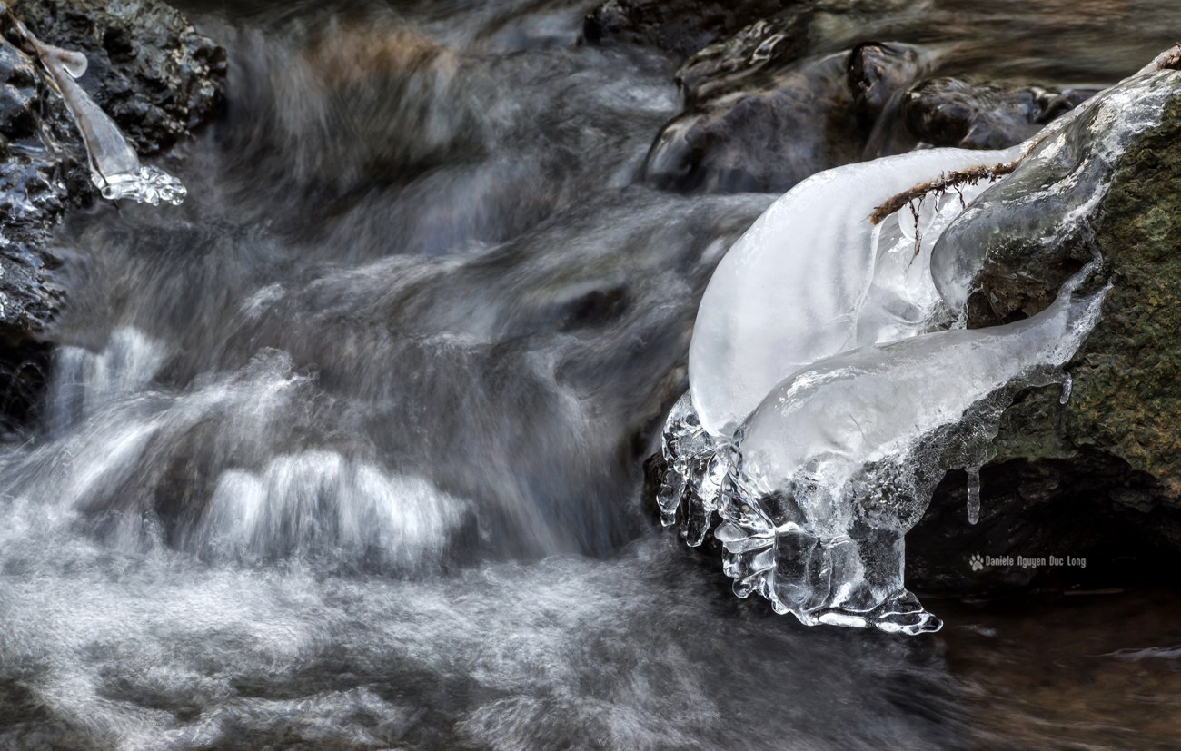 quand-il-gele-sur-le-rouillon-, glaçon, givre, hiver, froid, bois des templiers, Longjumeau, Essonne