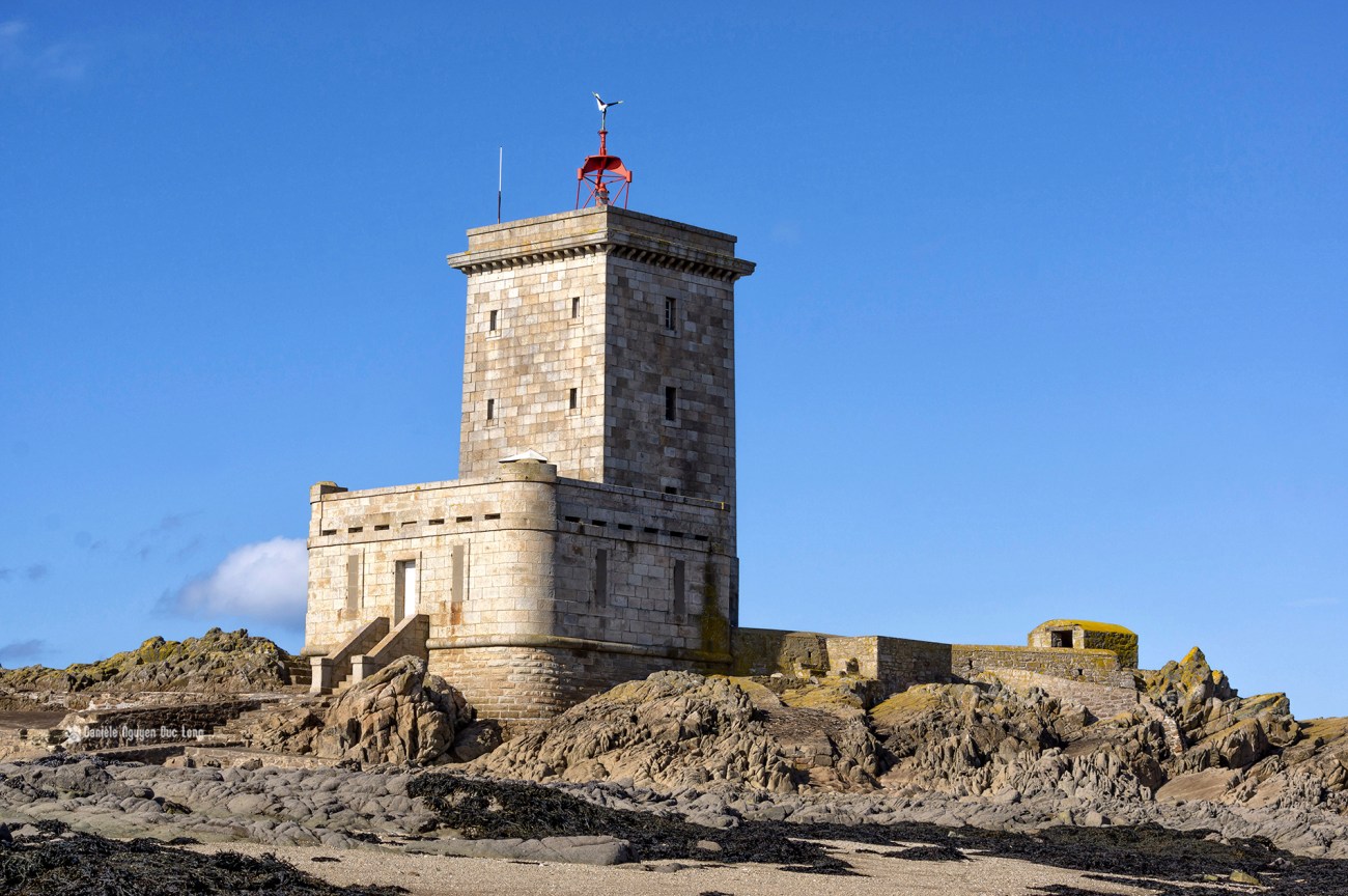 ile-noire-baie-de-morlaix-sur-lile-au-pied-01-copie