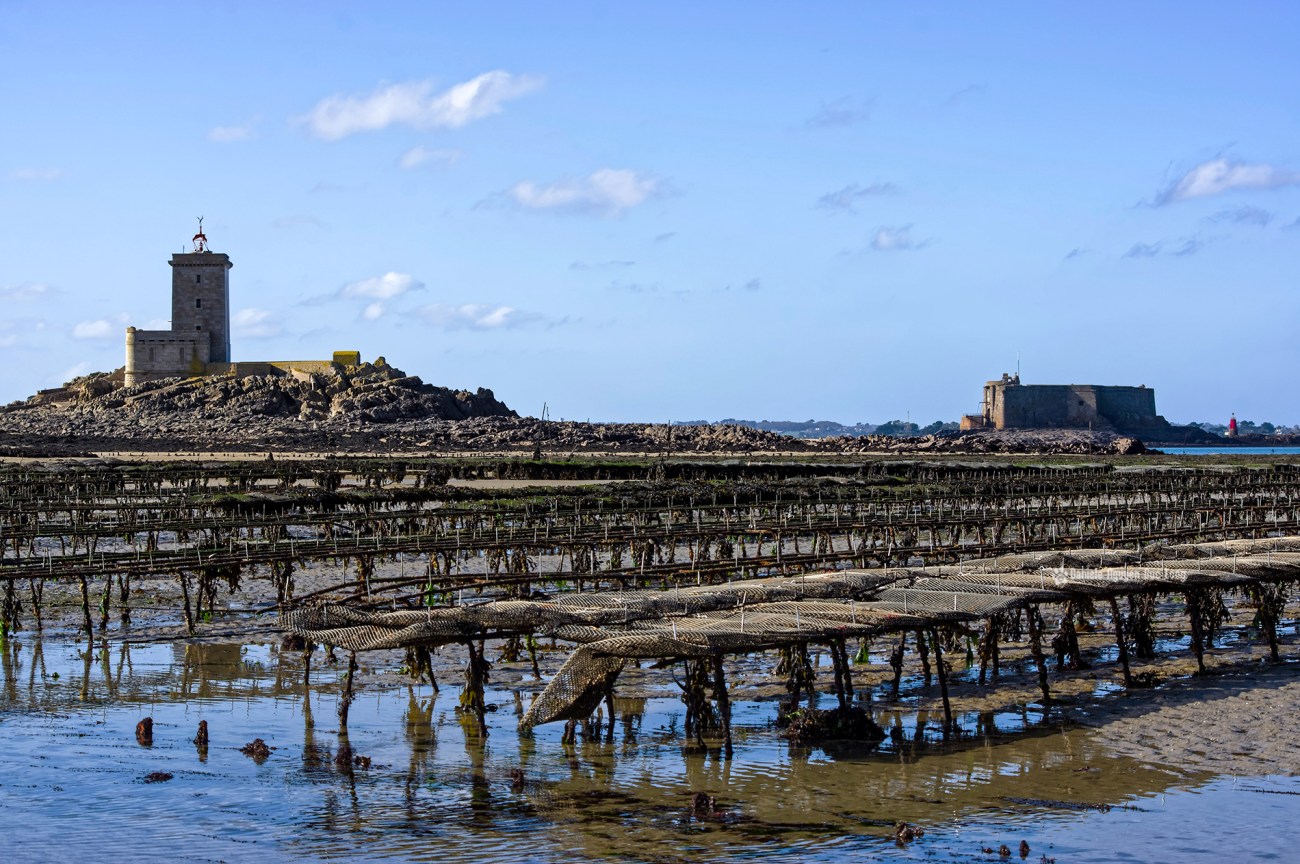ile-noire-et-le-taureau-par-dessus-les-parcs-a-huitres-copie