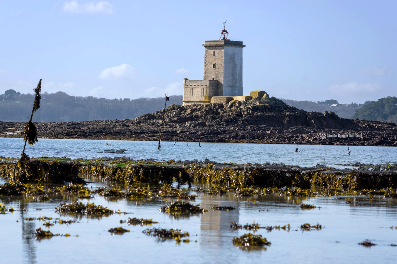 ile-noire-et-parc-a-huitre-et-reflet-1-copie