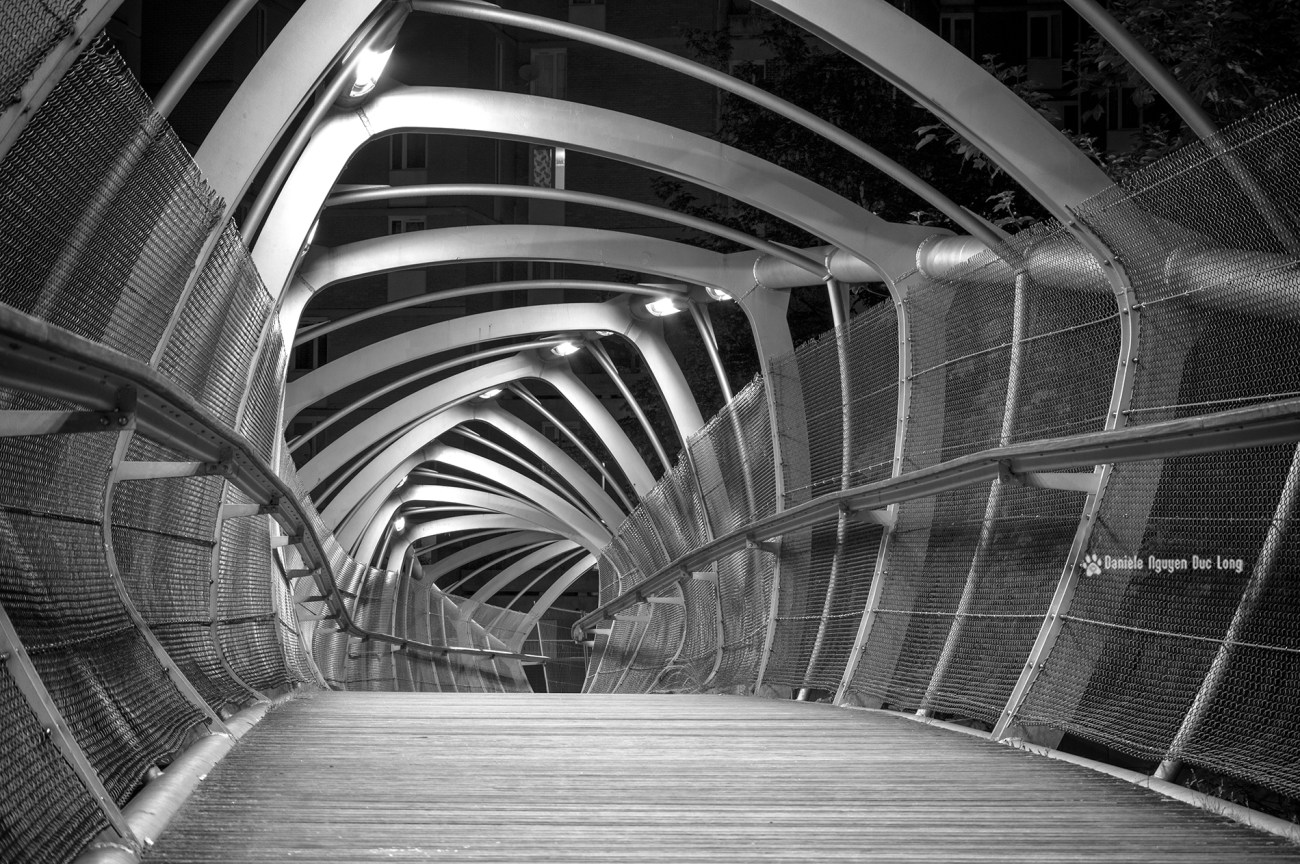 passerelle quai aux fleurs - Evry - Essonne