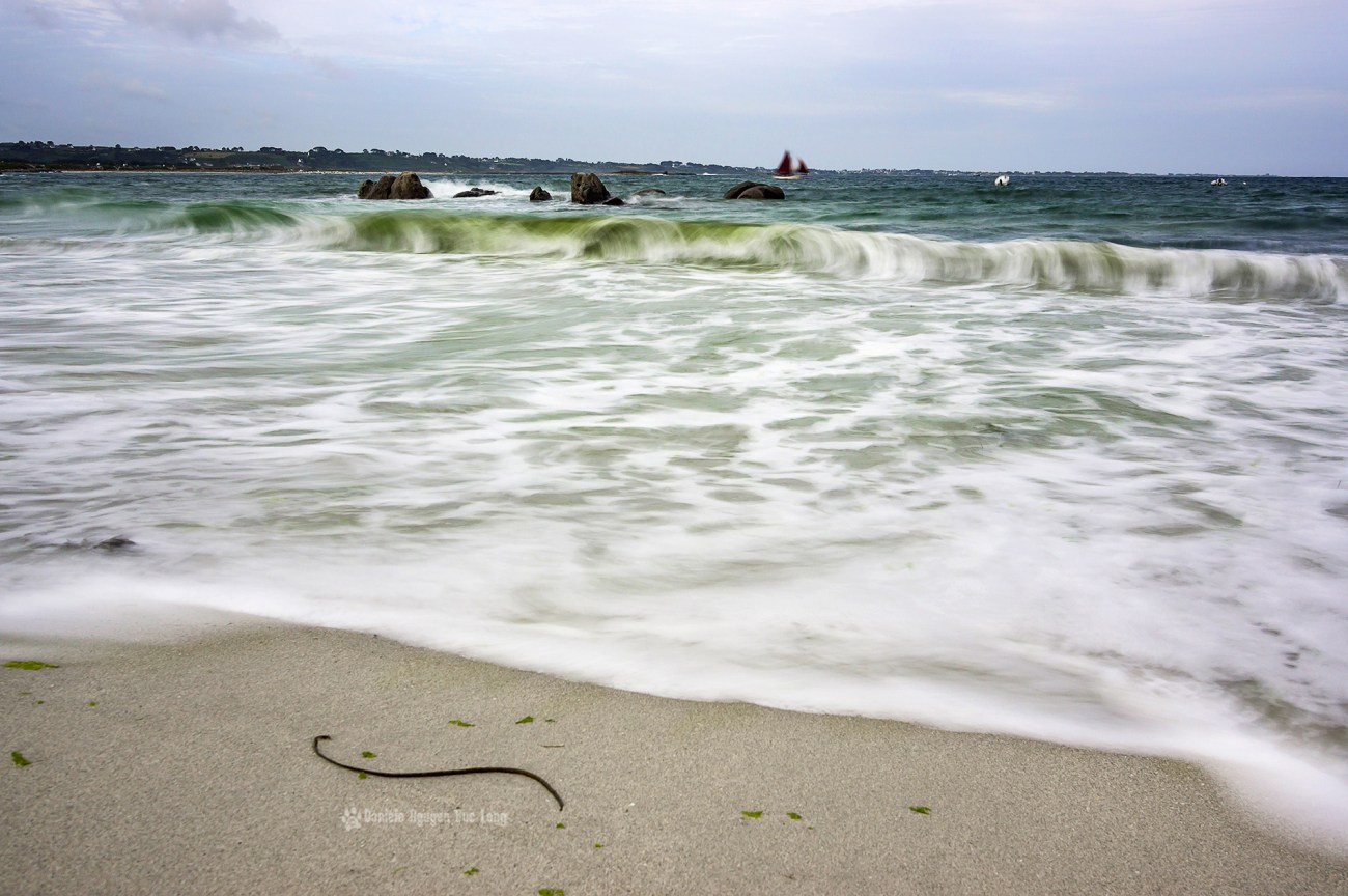 pose lente sur la plage de Neïz -Vran et passage de Brigitte toutes voiles dehors, Kerlouan, Finistère, Bretagne pose lente sur la plage de Neïz -Vran et passage de Brigitte toutes voiles dehors, Kerlouan, Finistère, Bretagne