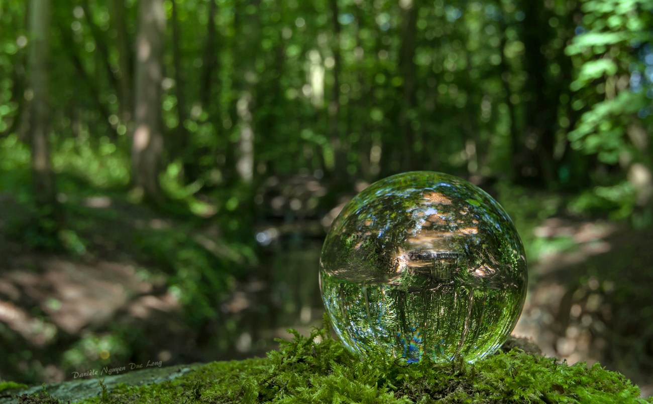 photo à travers une boule de cristal
