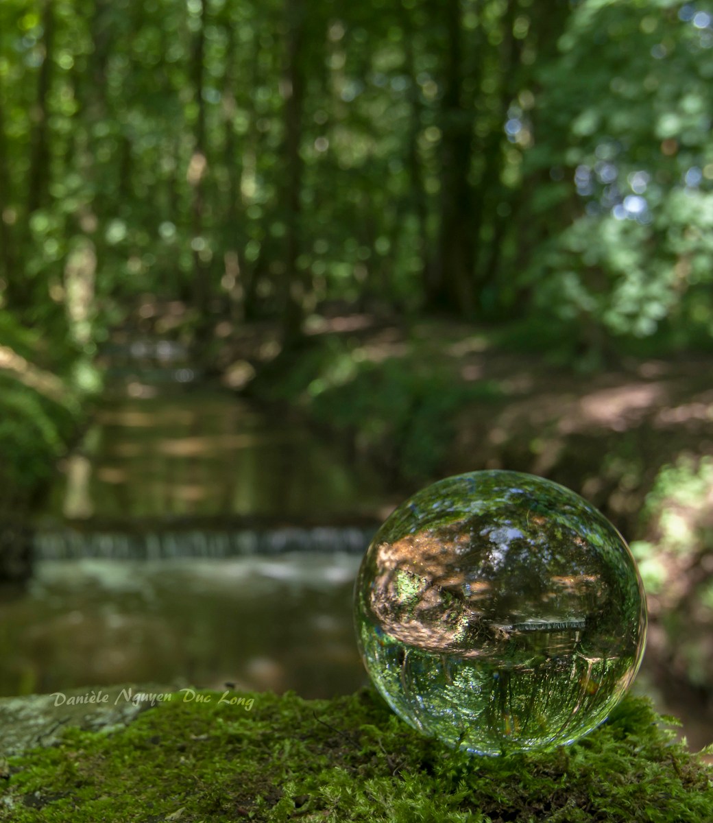 photo à travers une boule de cristal 