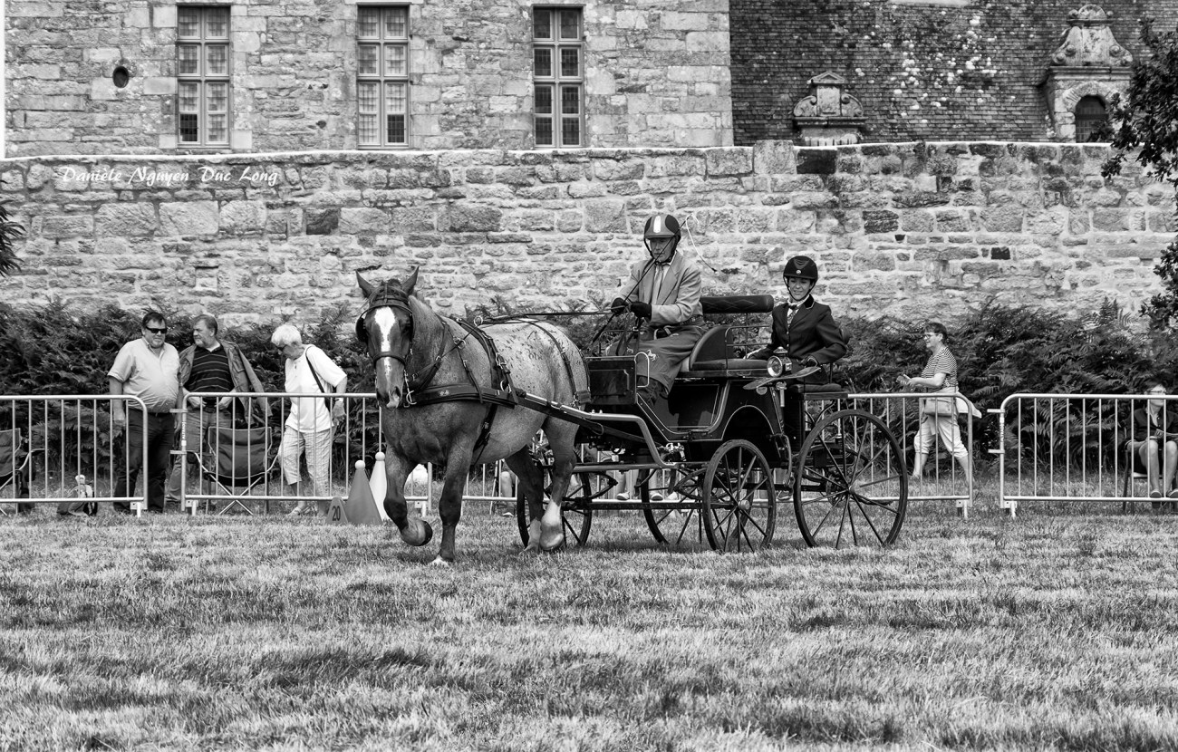 concours d'attelage château de Kerjean, Bretagne, Finistère
