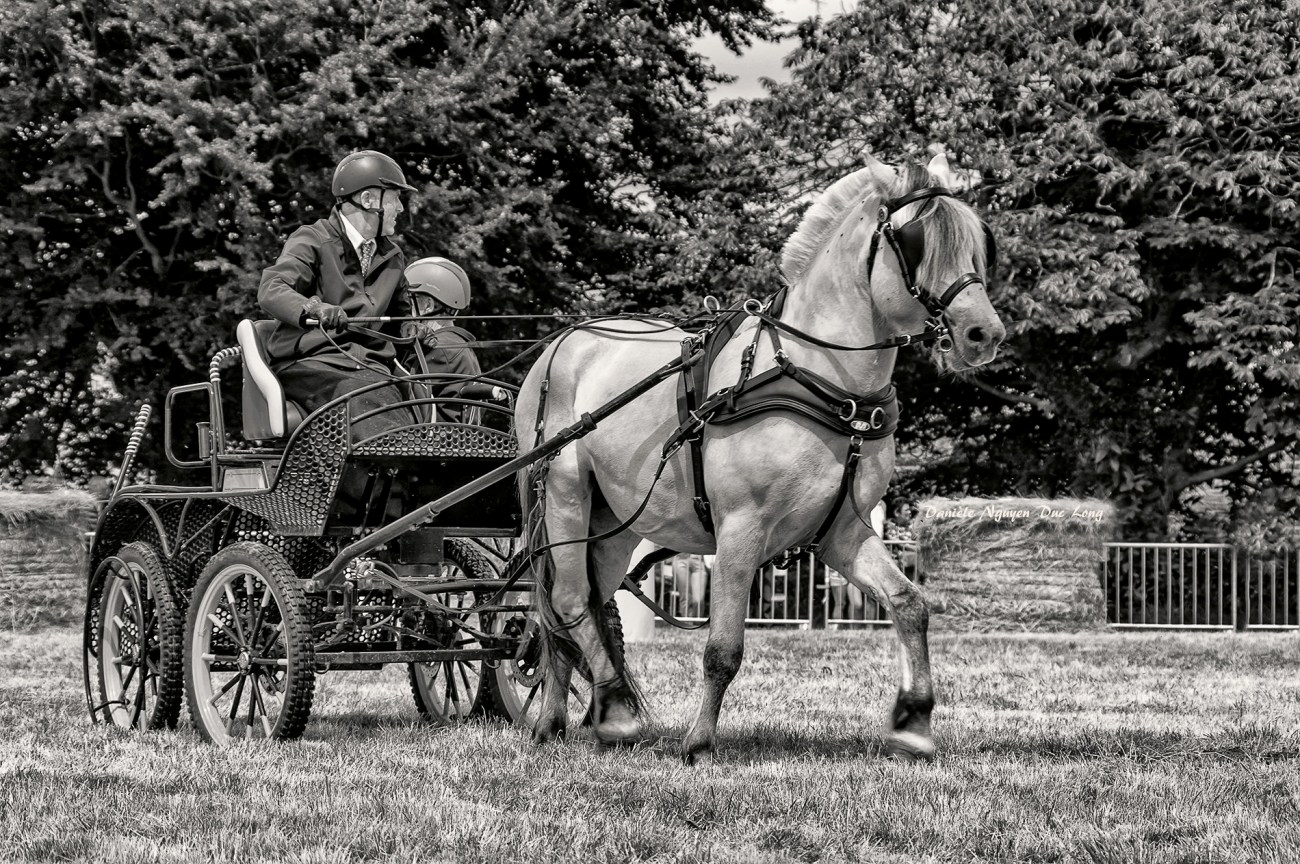 concours d'attelage château de Kerjean, Bretagne, Finistère