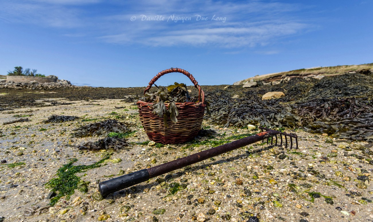 panier à crustacés, pêche à pied grandes marées en Finistère, île Wrac'h