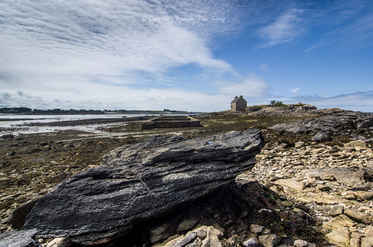 parc à huîtres de chez Legris, Lilia, petite île Vrac'h