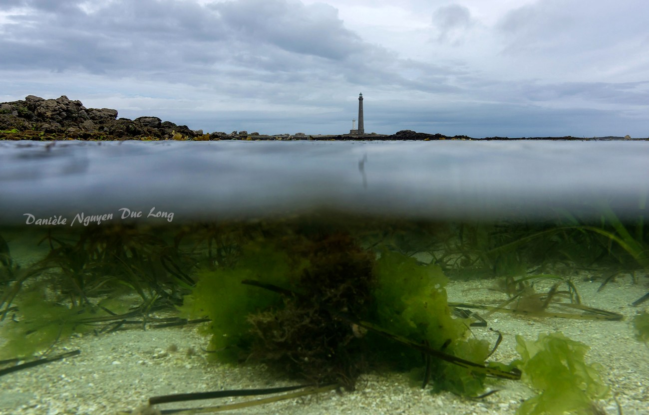 mi-air mi-eau, île vierge, phare de l'île Vierge, Plouguerneau, Bretagne, Finistère
